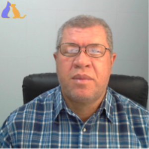 Elifortes59
