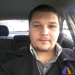 Helddmarques