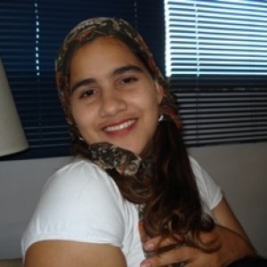 Daysibella