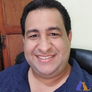 Abraham94